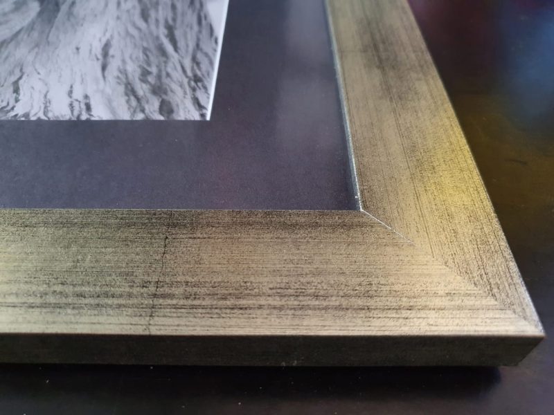 A close-up photo of a professionally framed graphite drawing.