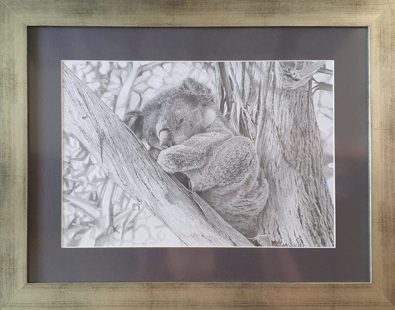 Hand-Drawn Realistic Koala Portrait - Framed - Image 4