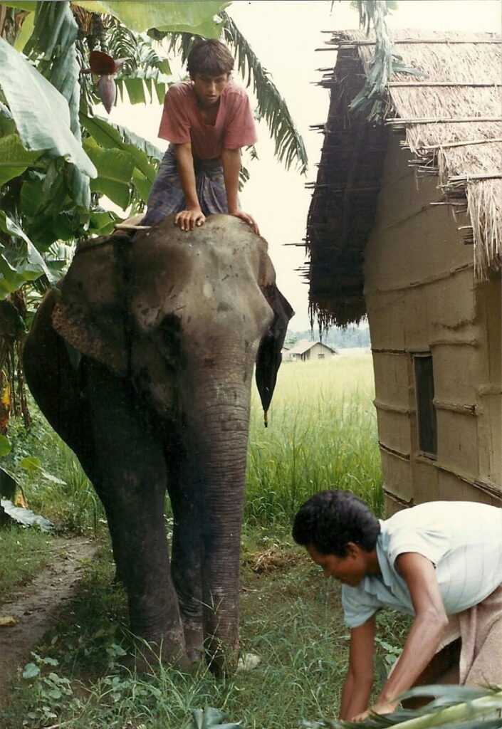 An elephant wake up call can be alarming - Chitwan National Park, Nepal.