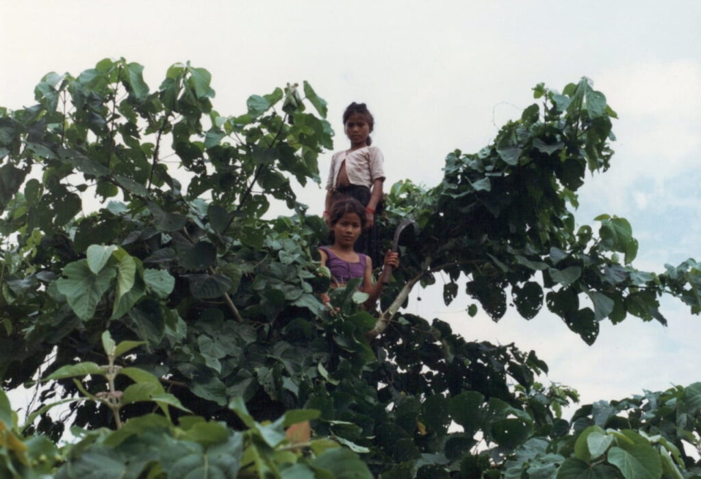 Two Nepalese village girls collecting leaves for dinner in Chitwan National Park, Nepal.
