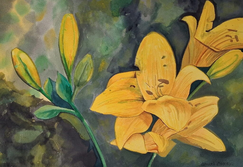 A watercolour painting of yellow asiatic lilies.