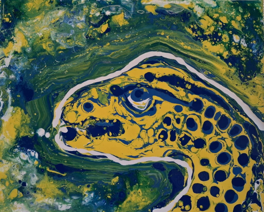 An acrylic swipe pour painting with Parramatta Eel logo.