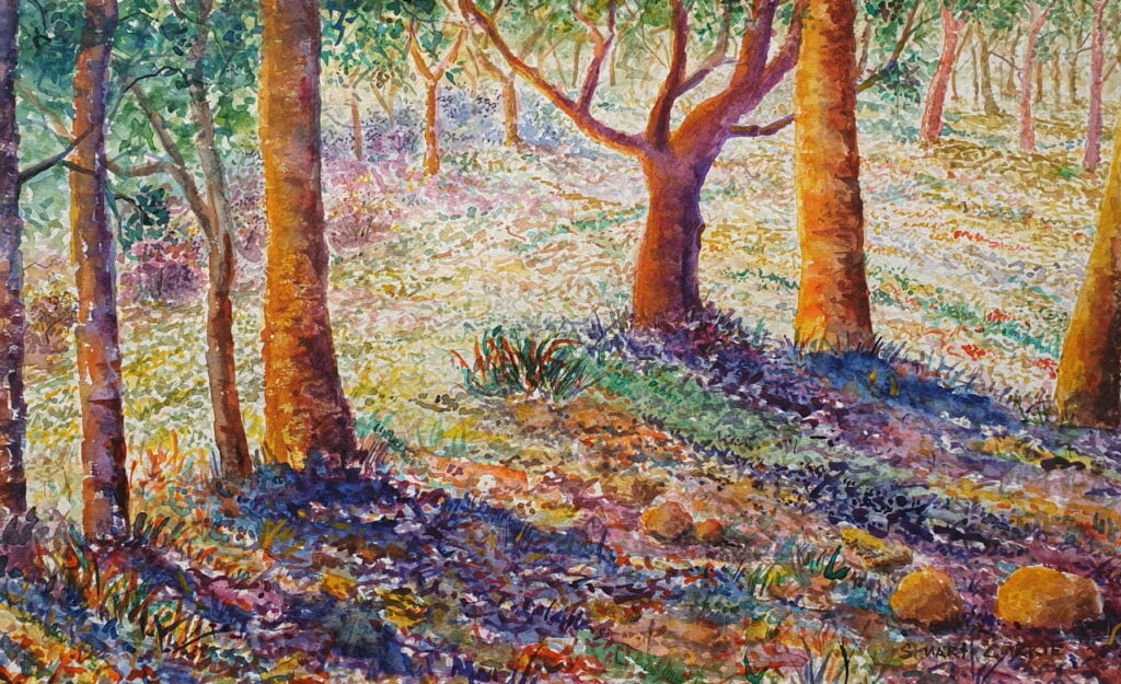 A watercolour painting of Australian bushland in the Blue Mountains.