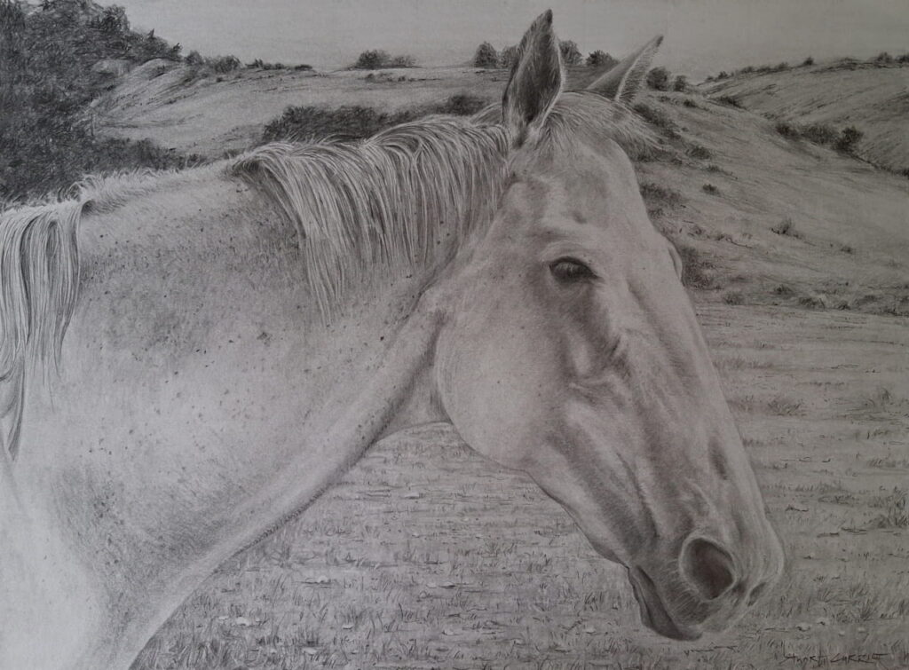 A realistically rendered drawing of a horse.